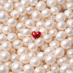 Пакет «Поддержка» - Master